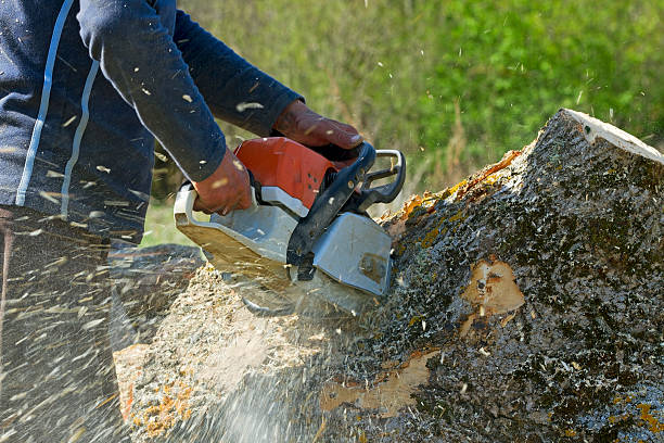 Mulching Services in East Patchogue, NY